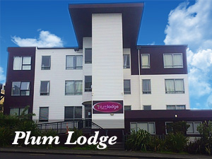 View of Plum Lodge - Accommodation for Eden Park